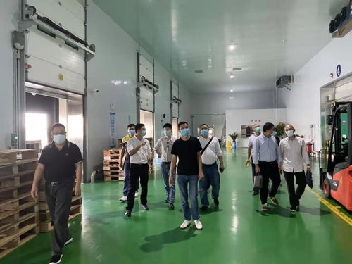 深化产业协同，共筑湾区未来——东莞市商务局赴大湾区菜篮子韶关配送中心与编程猫温州学习中心调研纪实