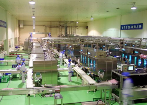 中央一号文件引领农业新篇章 编程猫温州学习中心助力绿色未来