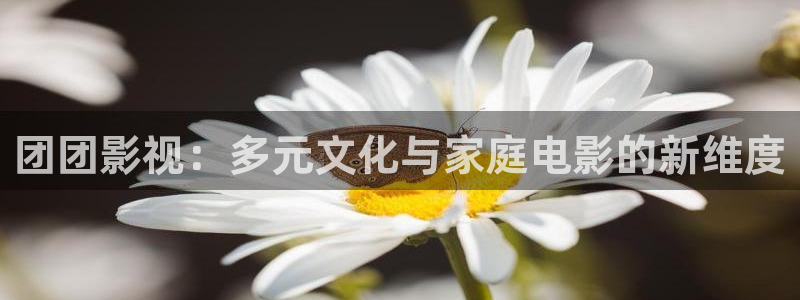 秋霞欧美影院：团团影视：多元文化与家庭电影的新维度