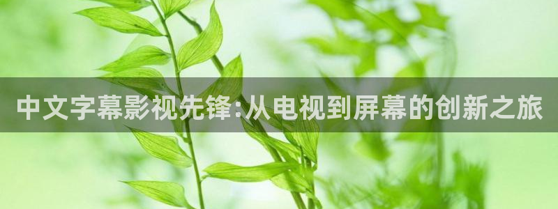 优优色欧美影院免费：中文字幕影视先锋:从电视到屏幕的创新之旅