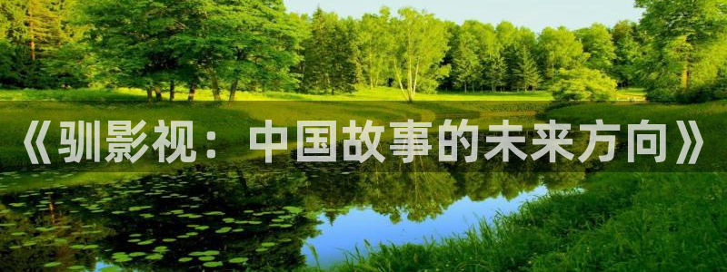 国产欧美影院：《驯影视：中国故事的未来方向》