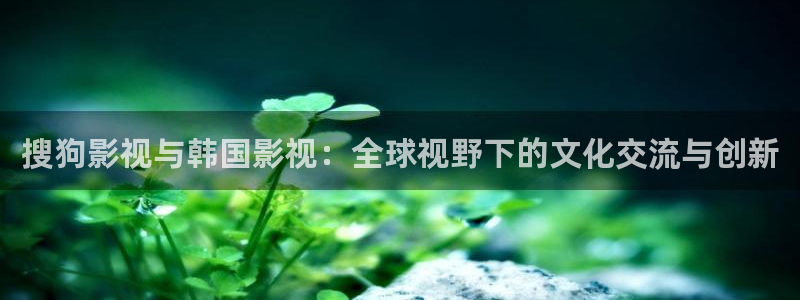 精品日韩欧美影院：搜狗影视与韩国影视：全球视野下的文化交流与创新