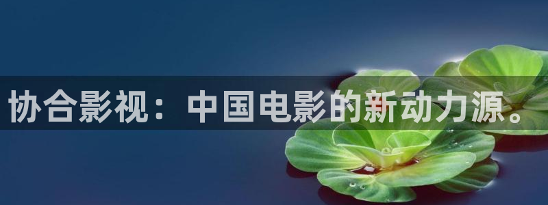 欧美影院免费在线观看：协合影视：中国电影的新动力源。