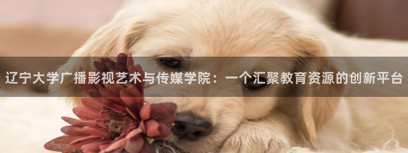 四虎欧美影院：辽宁大学广播影视艺术与传媒学院：一个汇聚教育资源的创新平台
