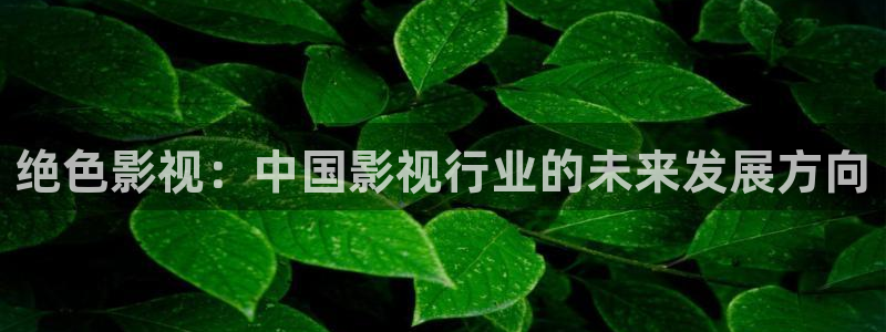 四虎欧美影院：绝色影视：中国影视行业的未来发展方向