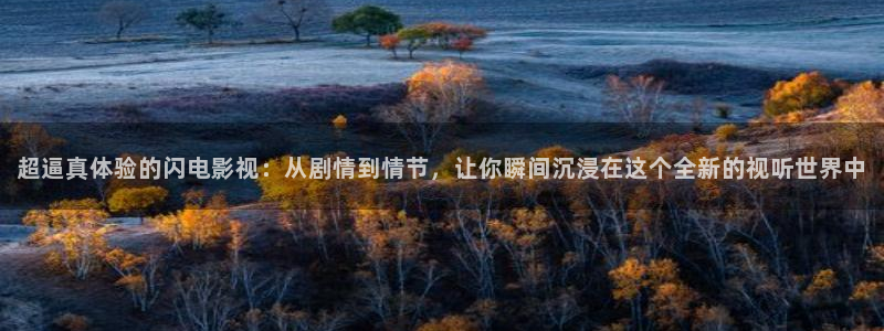 欧美影院在线影院：超逼真体验的闪电影视：从剧情到情节，让你瞬间沉浸在这个全新的视听世界中