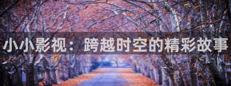 浮力欧美影院：小小影视：跨越时空的精彩故事